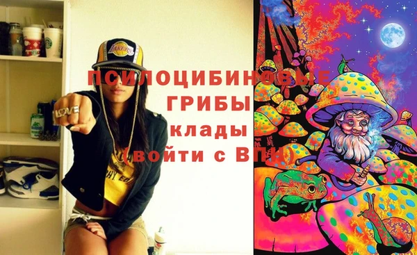 молекула духа Баксан